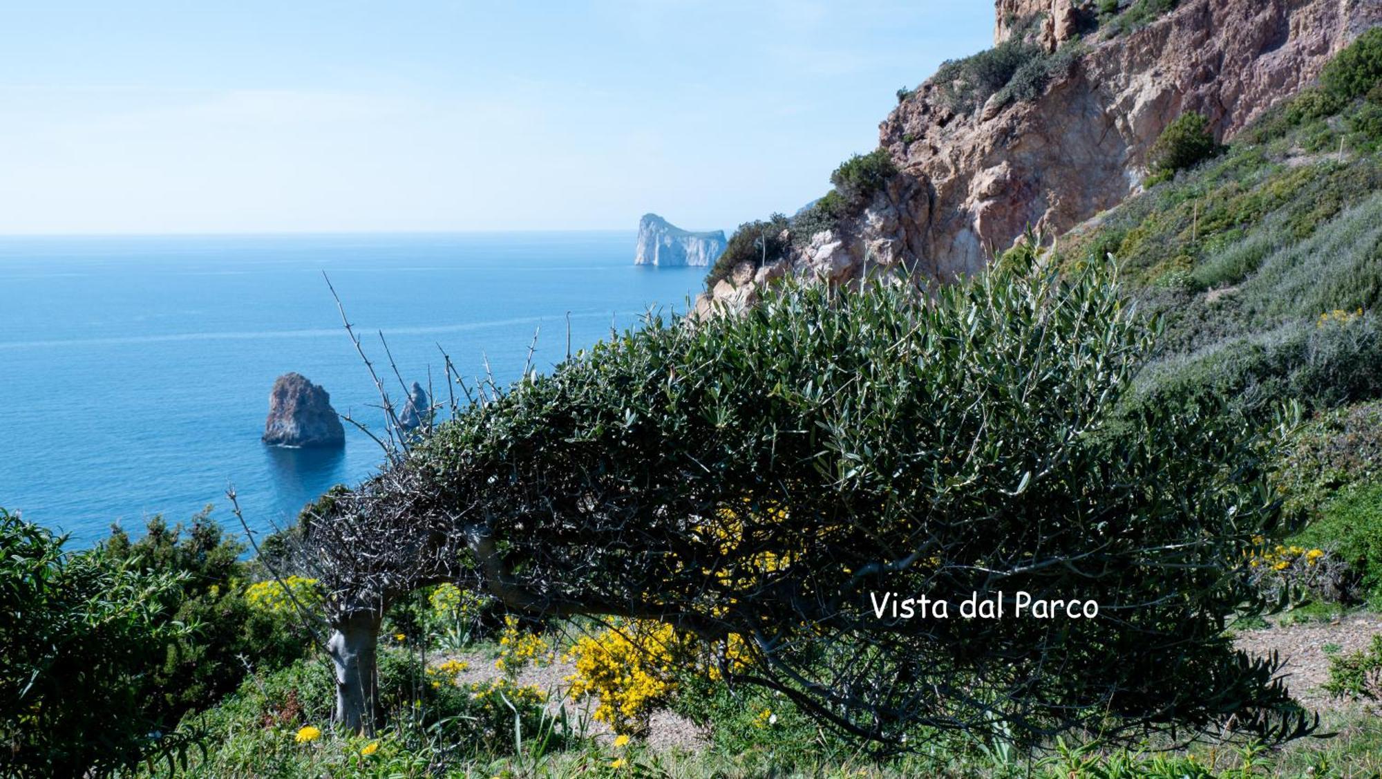 Il Dolce Risveglio Tanca Piras Villa Nebida Kültér fotó